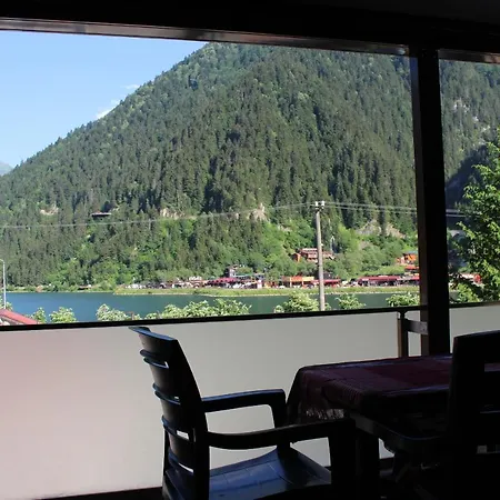 Apartment Adiloglu *